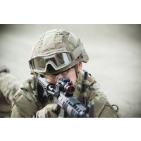 Revision Wolfspider Schutzbrille Basic Tan Smoke - Military Army Airsoftbrille
